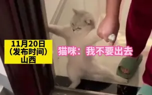 Download Video: 主人佯装要将猫猫赶出家门，“毛孩子”紧扒门框不撒手