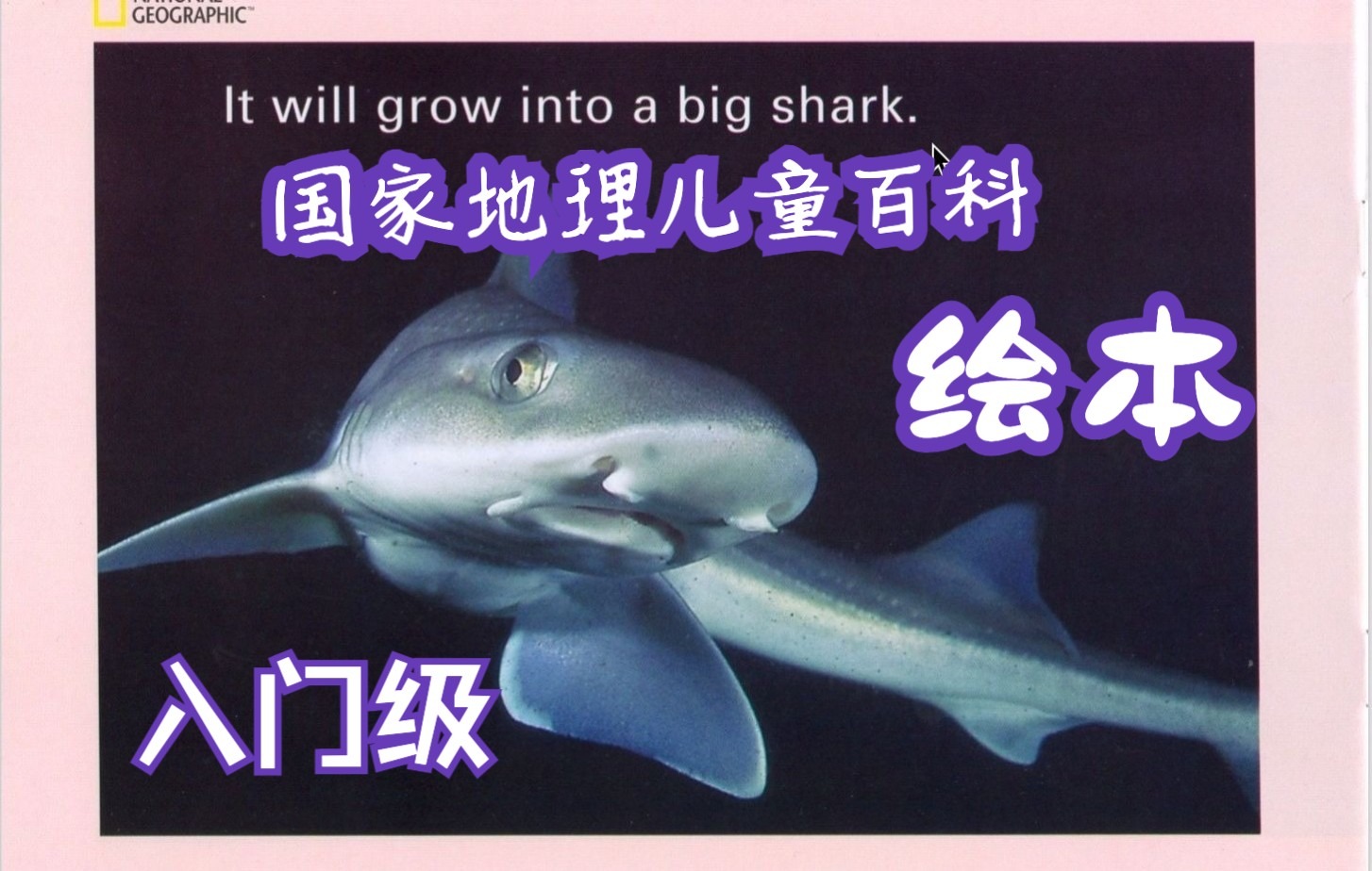 [图]绘本阅读-国家地理儿童百科入门11-The Baby Shark