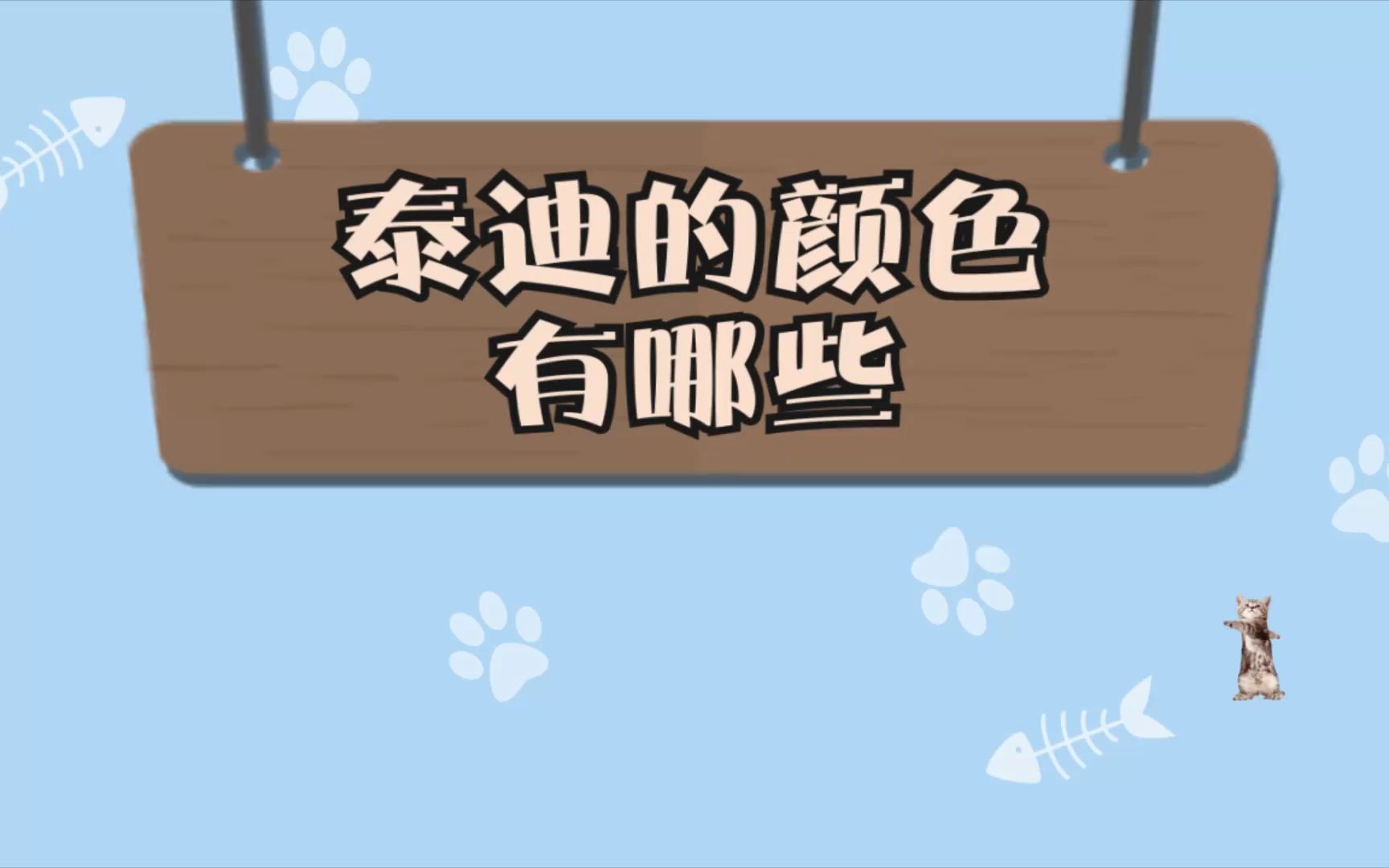 泰迪的颜色有哪些哔哩哔哩bilibili