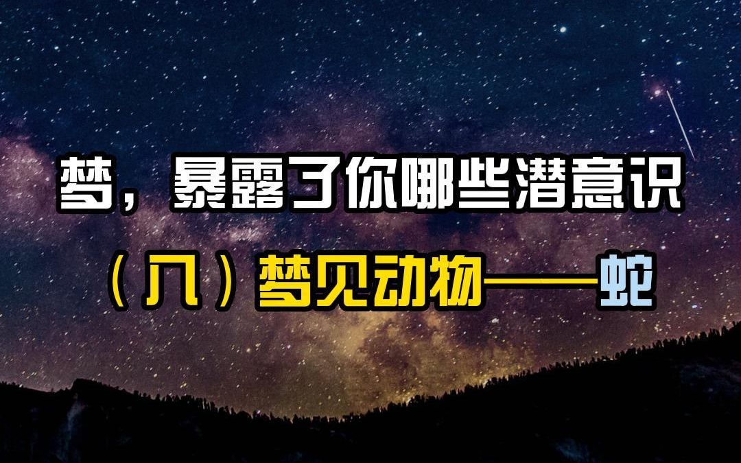 听心聊心理咨询师 | 梦,暴露了你哪些潜意识(八)梦见动物——蛇哔哩哔哩bilibili