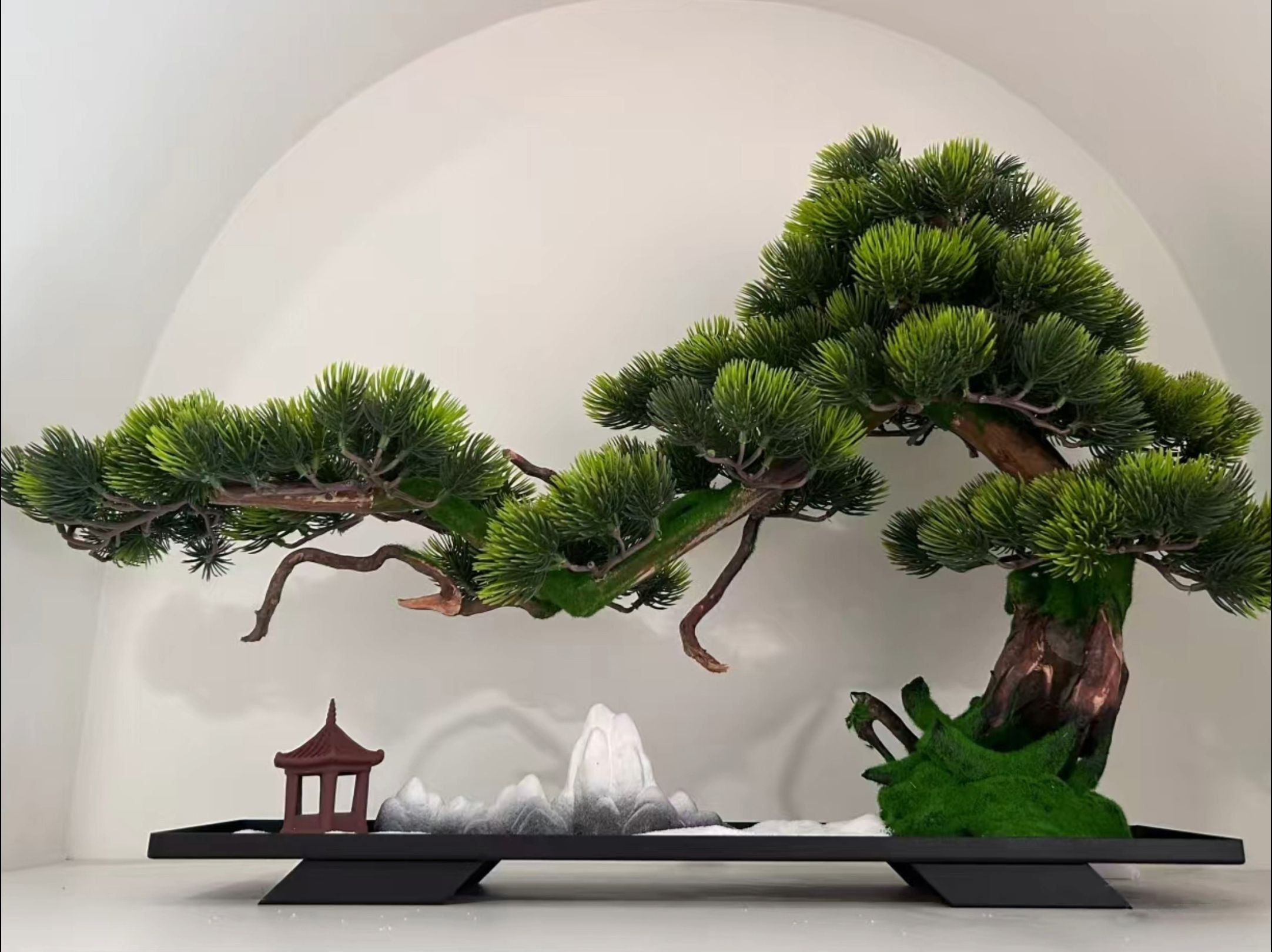 盆景"松" 古语道,家中有松,世代不穷