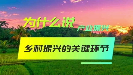 为什么说产业振兴是乡村振兴的关键环节?#乡村振兴规划#农业产业园规划#田园综合体规划#乡村旅游规划#农文旅规划哔哩哔哩bilibili