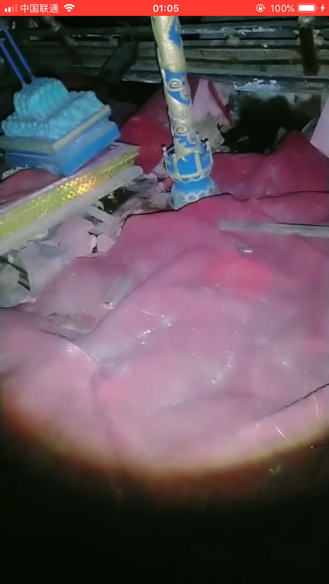 户外探险尿弟牛