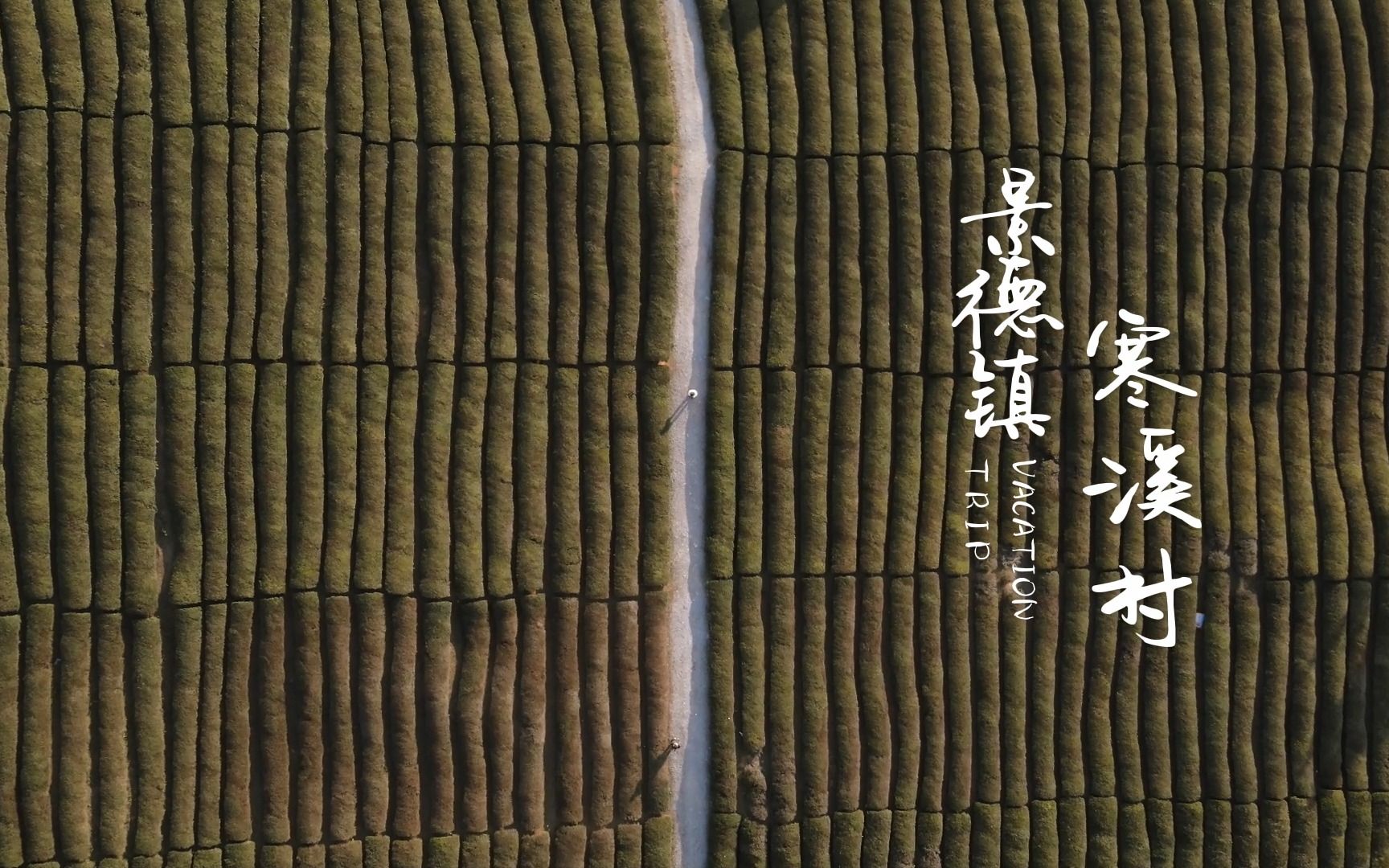 景德镇寒溪村 | 大地艺术节plog | 照片随意记录