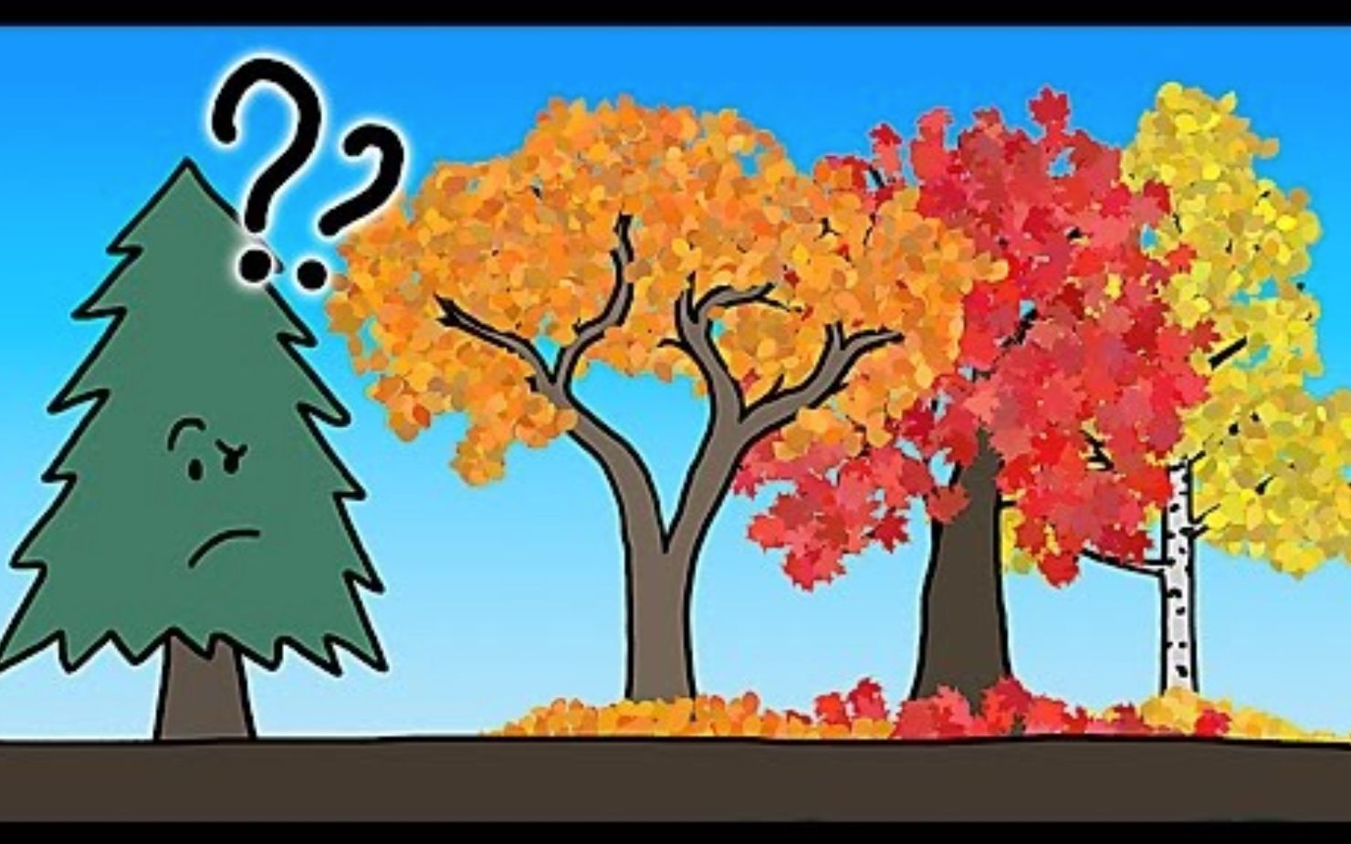 [图]【Minute Earth】双语·树叶在秋天变色的真正原因 The Real Reason Leaves Change Color In The Fall