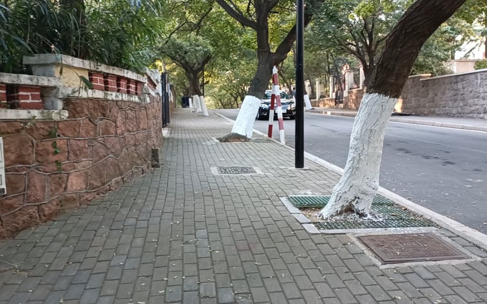 青岛-八大关-临淮关路-22.10.23