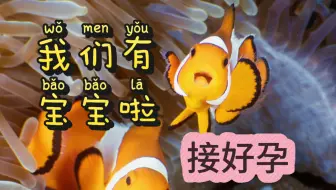 还是决定放弃这上千条小丑鱼宝宝了