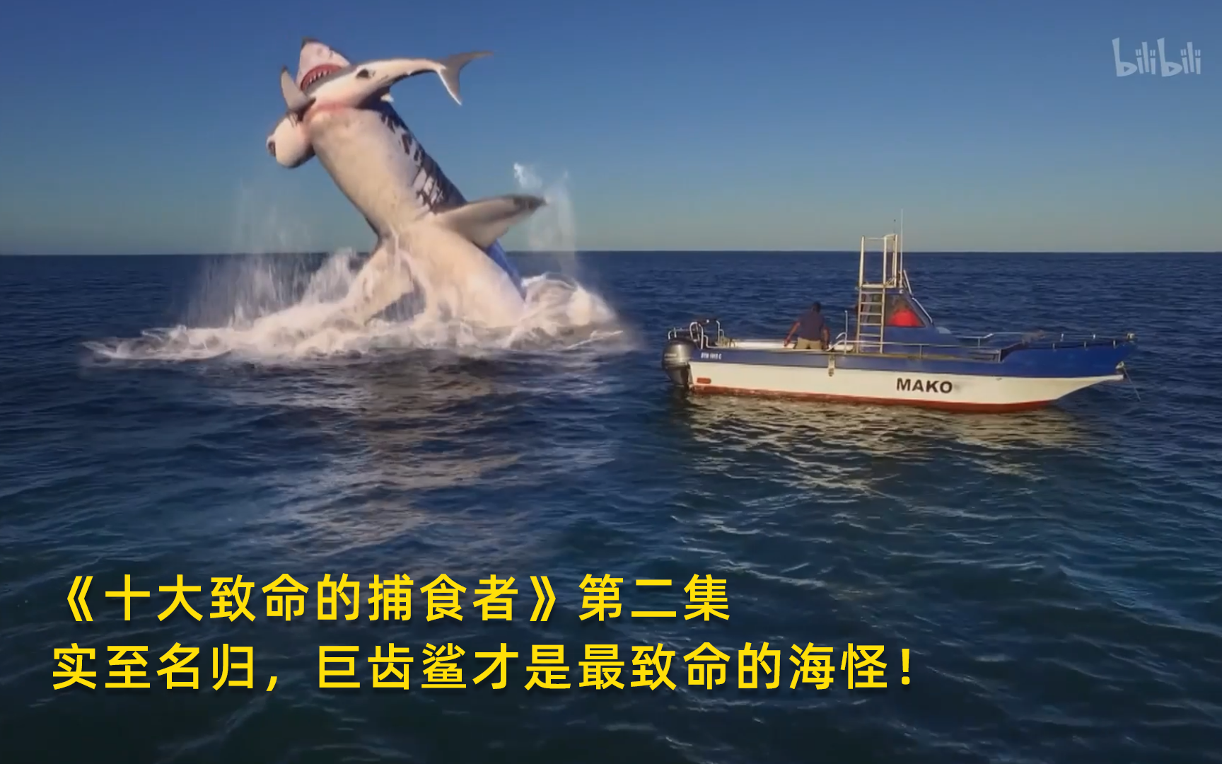 十大致命的捕食者看点16-纪录片-全集-高清正版在线观看-bilibili-哔哩哔哩