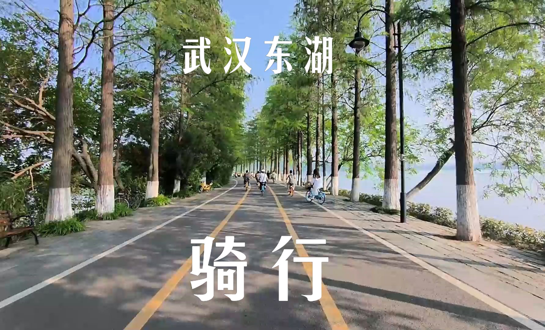 关山口职校必修课之 东湖绿道骑行