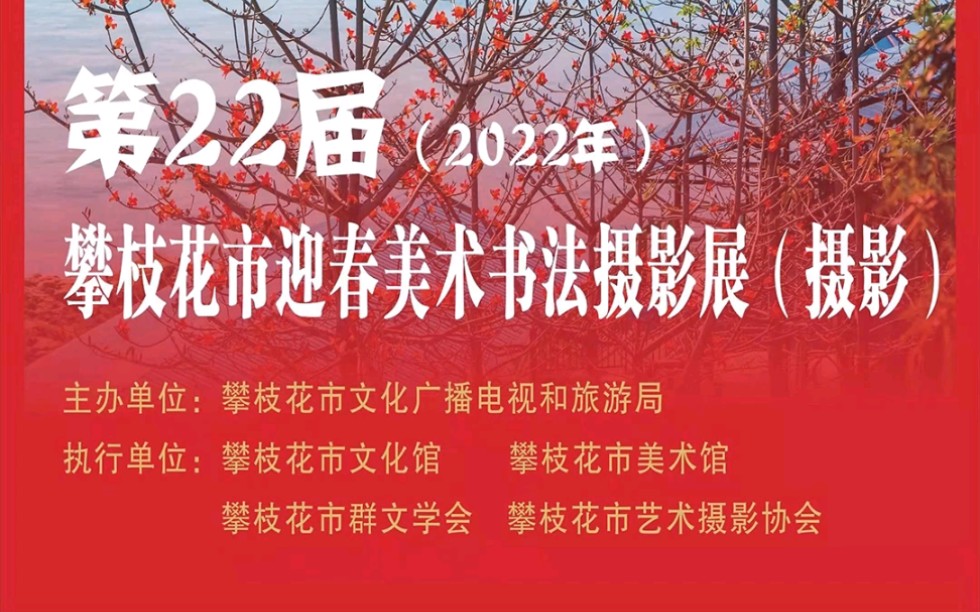 第二十二届(2022)攀枝花市迎春美术书法摄影展(摄影作品展)哔哩哔哩bilibili