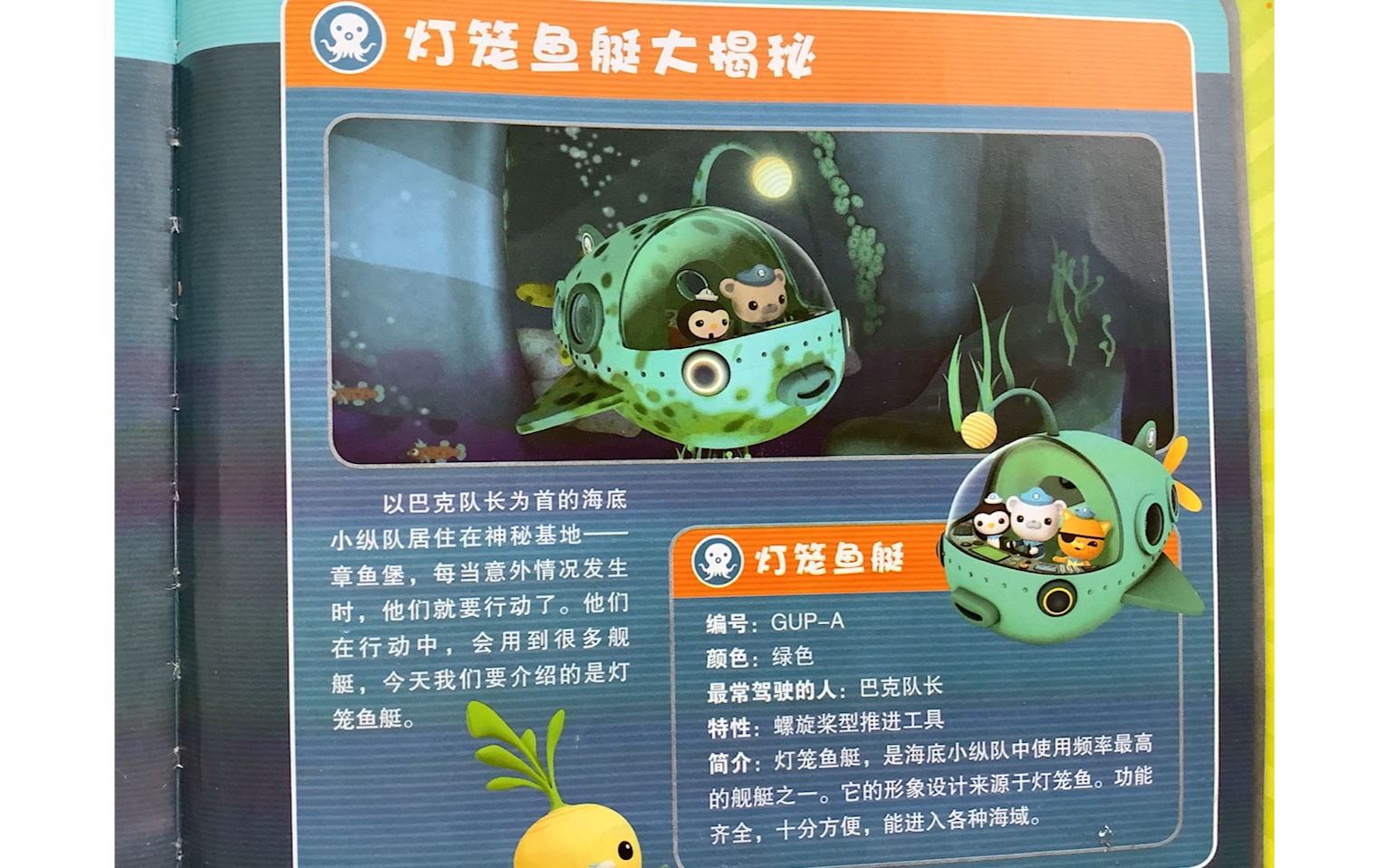 灯笼鱼艇大揭秘