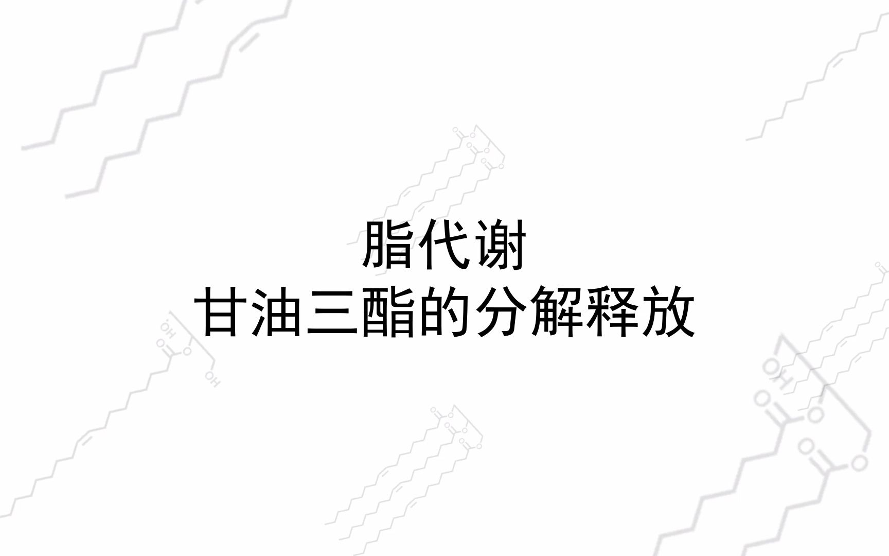 脂代谢1甘油三酯的分解与释放哔哩哔哩bilibili