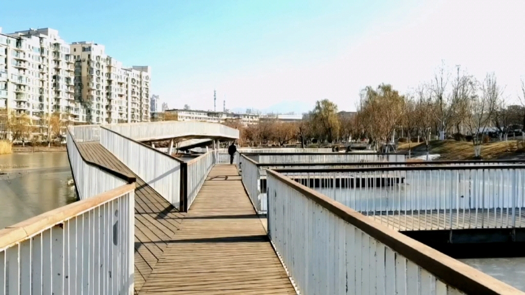 冬季的向应公园