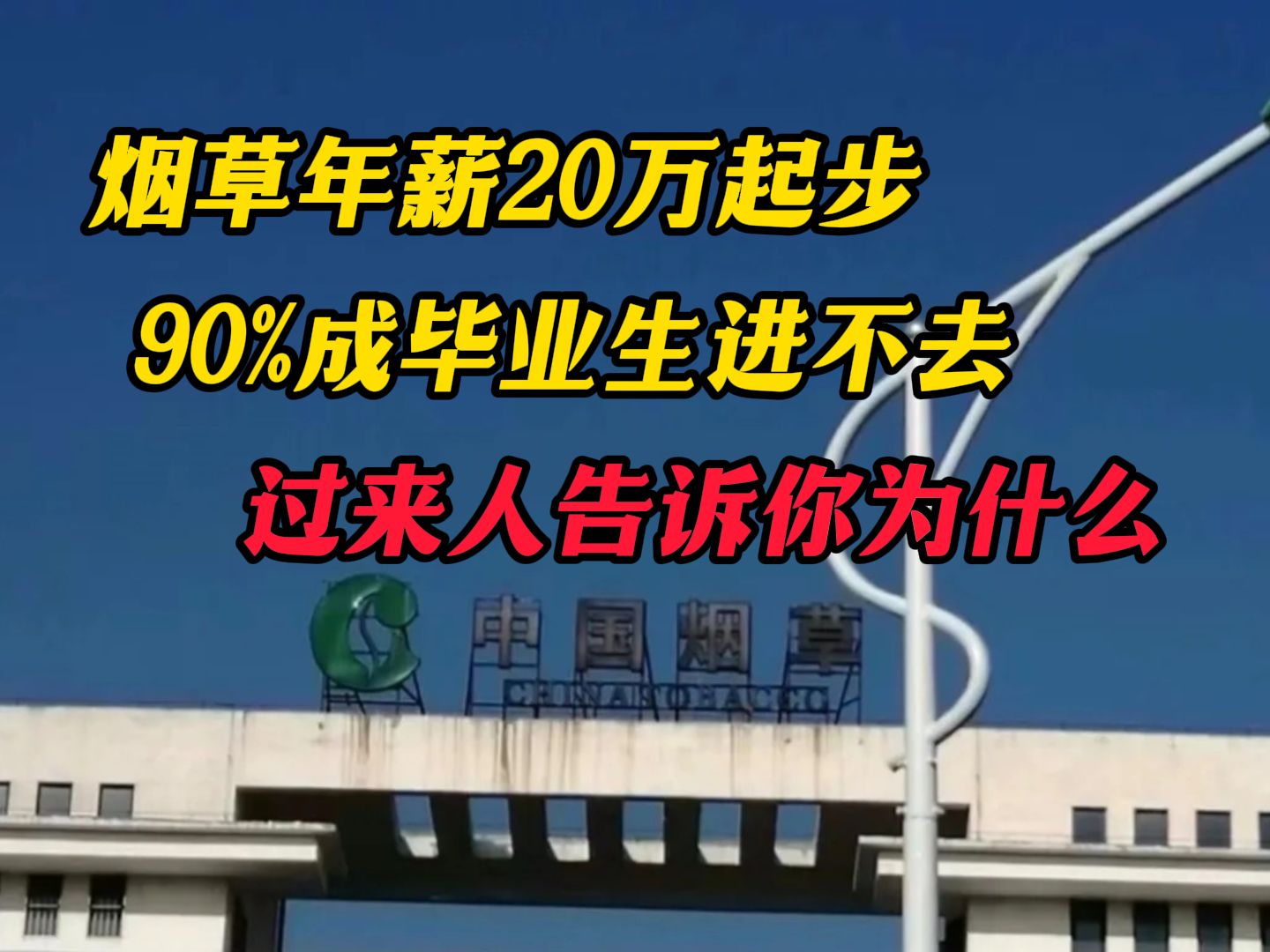 中国烟草对应届生有多好?年薪20万起步,但九成毕业生进不去,过来人道出实情哔哩哔哩bilibili