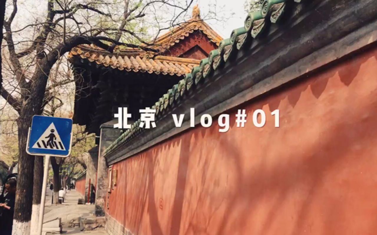 北京vlog#01 || 孔庙国子监 | 五道营胡同 | 地坛公园哔哩哔哩bilibili