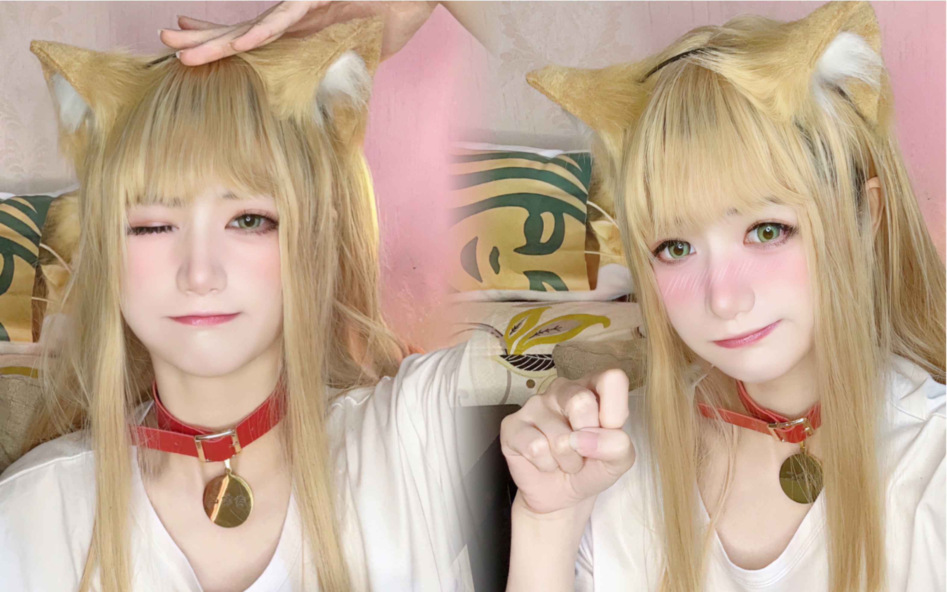 猫娘黄豆粉?哈基米橘猫!谁不想拥有一只小猫咪啊!