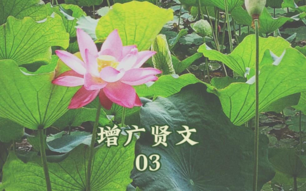 【增广贤文】"若要断酒法,醒眼看醉人.