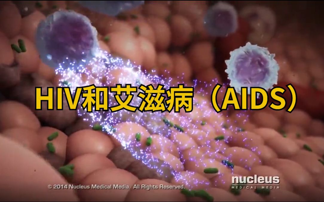 【医学科普】HIV和艾滋病(AIDS)哔哩哔哩bilibili