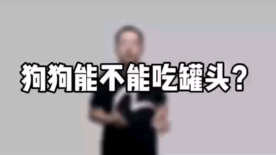 狗狗能不能吃罐头?哔哩哔哩bilibili