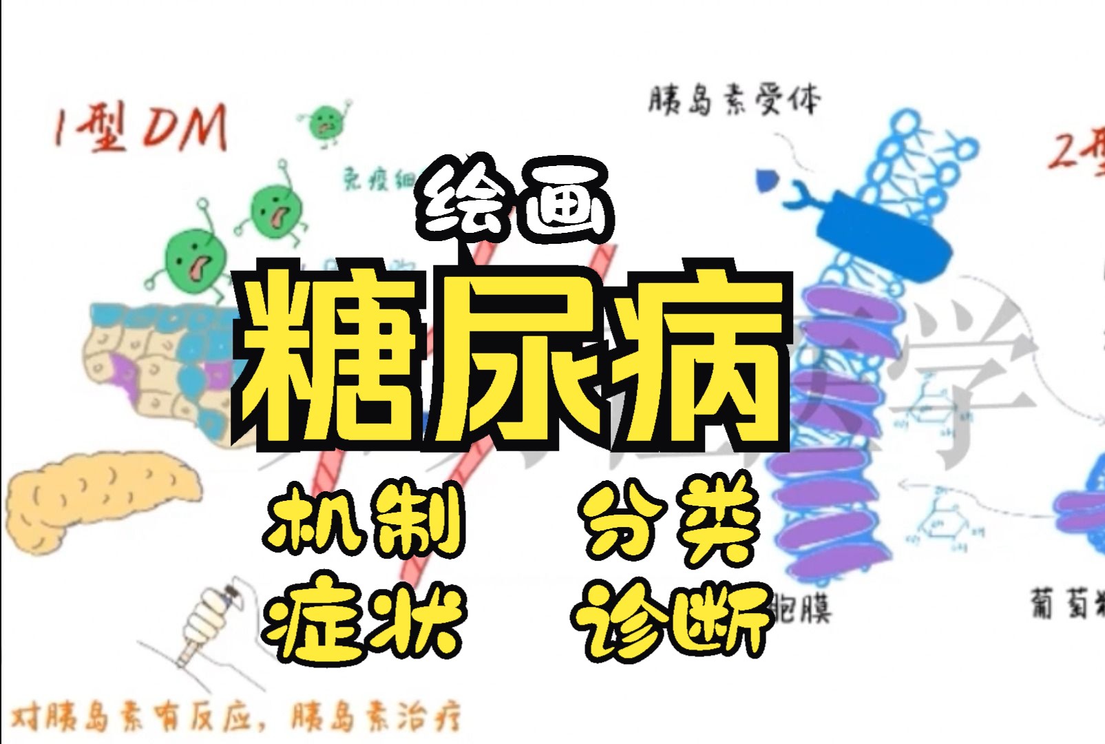 绘画内科 糖尿病的一切