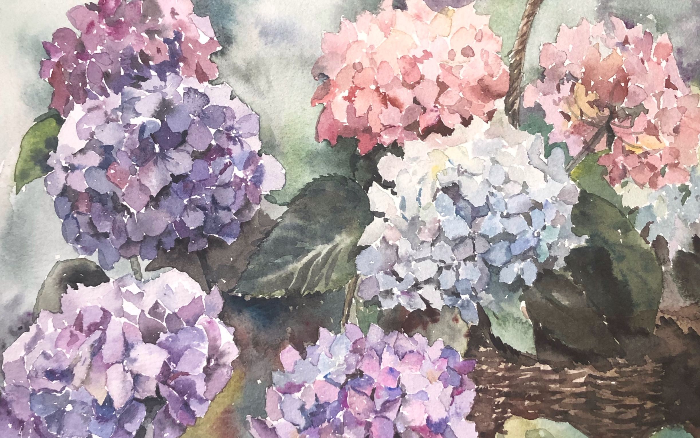 【水彩】绣球花 怎样画出漂亮的绣球花(精剪版)