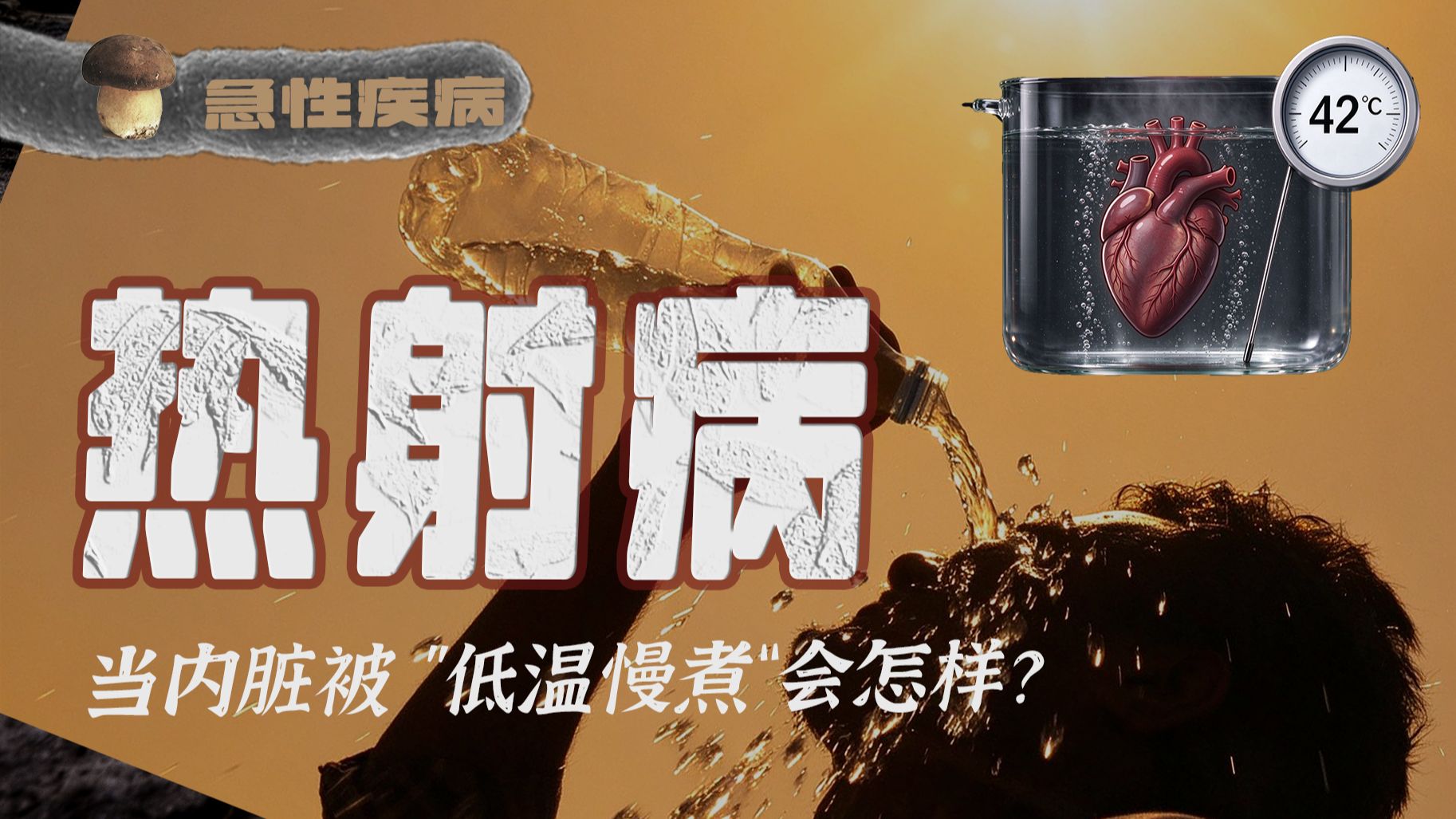 从吐血失禁到植物人甚至死亡，热射病是如何击溃人体系统的？