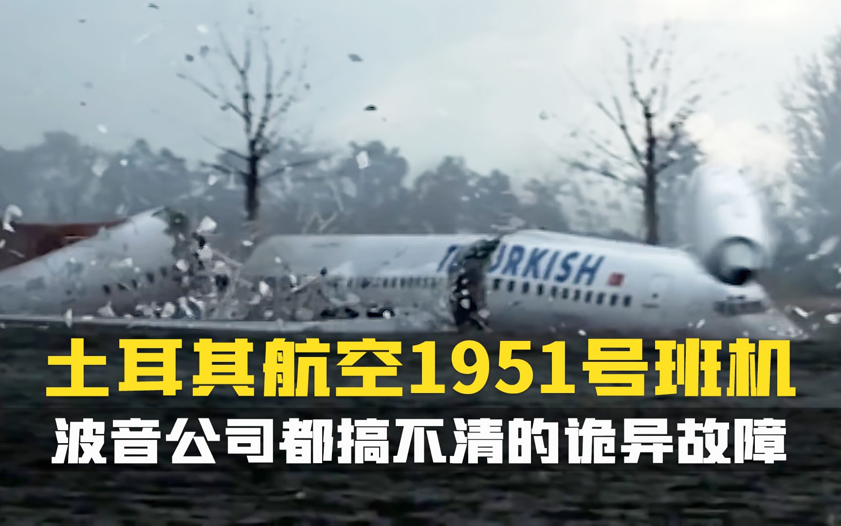 737800的高度计在高空诡异降到8英尺.机组不当回事.坠了.空中浩劫.纪录片.土耳其航空1951号班机空难事故哔哩哔哩bilibili