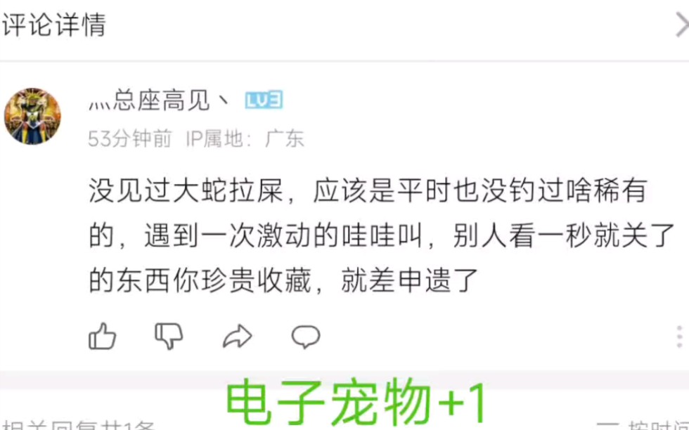 这位哥谭的网友是今天想透批但是被人无情地拒绝了吗?恭喜你成为我的入站以来第一个“稀有” 的电子宠物 捏