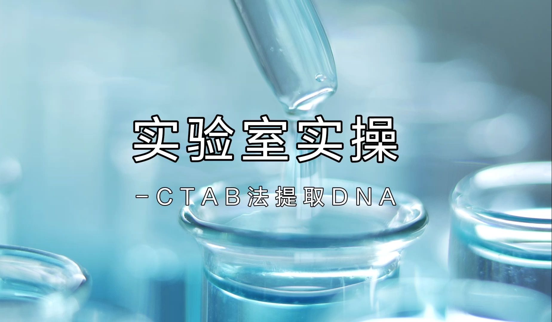 实验室实操CTAB法提取DNA哔哩哔哩bilibili