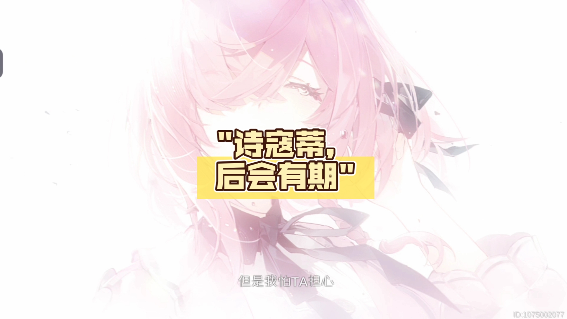 诗寇蒂,后会有期哔哩哔哩bilibili