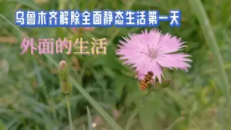 Download Video: 乌鲁木齐静态生活解除第一天，我快要走出小区了，感受外边的世界