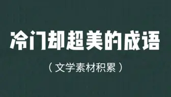 汇总一下那些小众却惊艳的成语 知识文化积累 哔哩哔哩 Bilibili