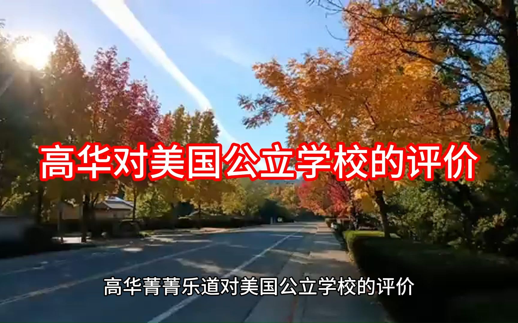 高華對美國公立學校的評價