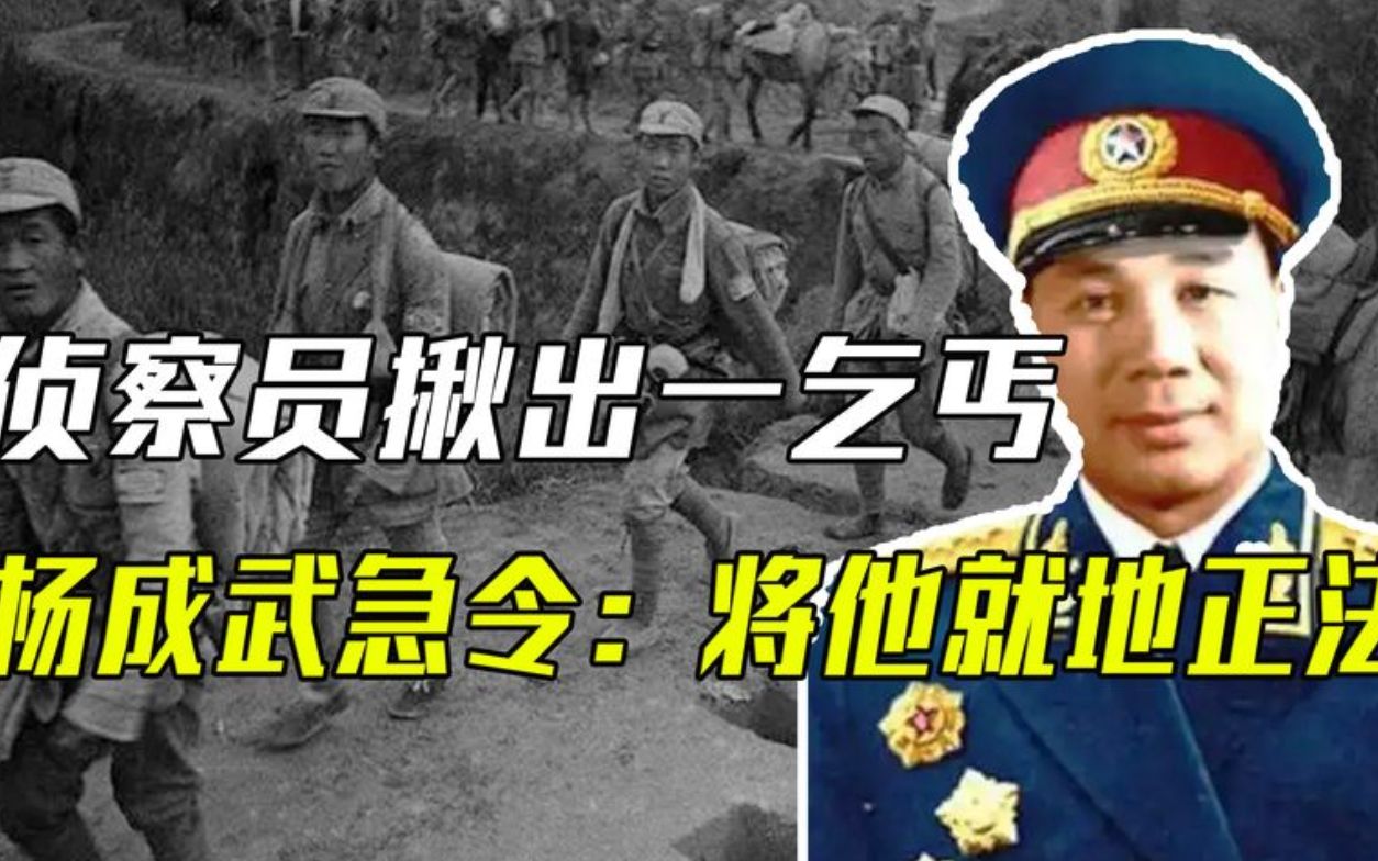 [图]1941年，转移途中发现一乞丐兜里装满小米，杨成武下令：就地正法