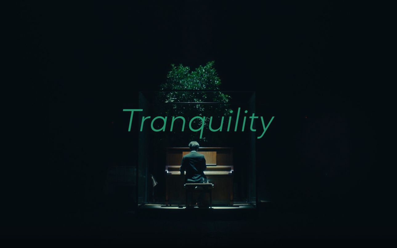 [图]【官方投稿】SawanoHiroyuki[nZk]:Anly「Tranquility」MUSIC VIDEO Short ver.