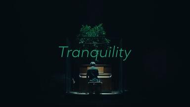 官方投稿】SawanoHiroyuki[nZk] 第8张单曲《Tranquility / Trollz