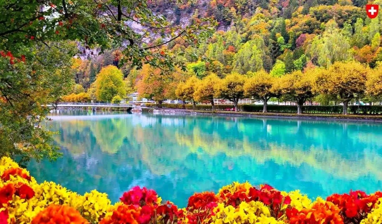 【4k超清】瑞士因特拉肯度假小镇,美丽色彩的旅行(旅游)