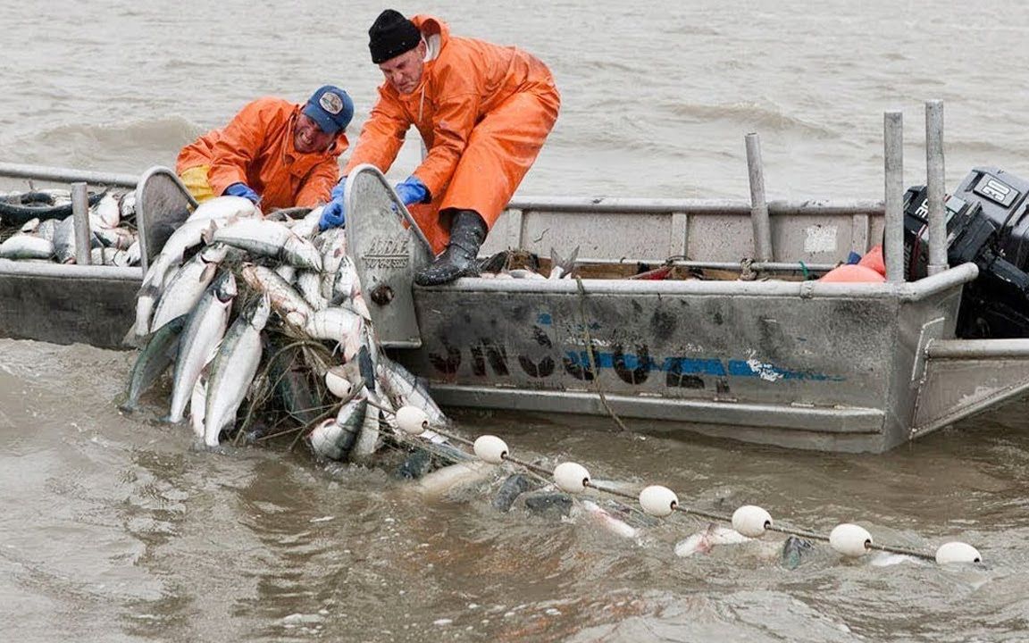 海上捕鱼-惊人的g网捕鱼线捕捉大鱼