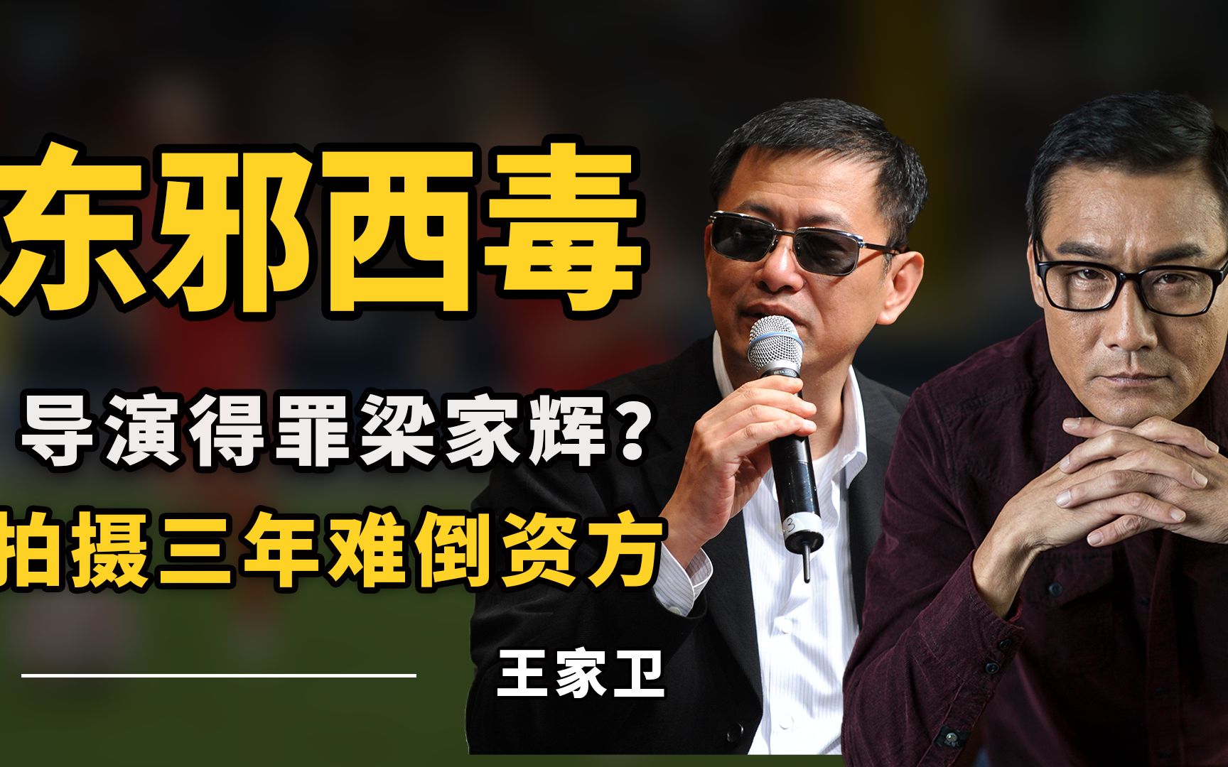 梁家辉说浪费青春,王祖贤戏份被删光,东邪西毒凭何成经典影片?哔哩哔哩bilibili