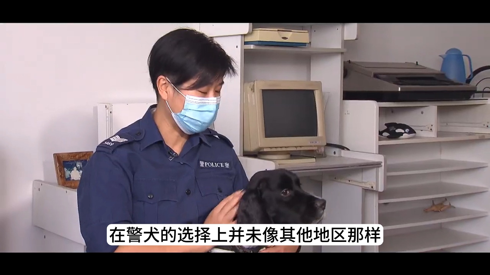 香港警察警犬队