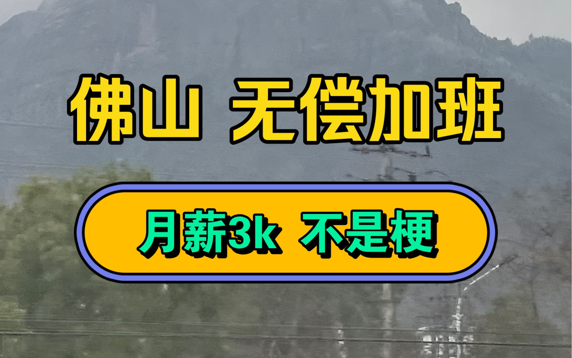 上海裸辞回佛山 面试十多家公司才意识到 奴隶制并没有消失哔哩哔哩bilibili