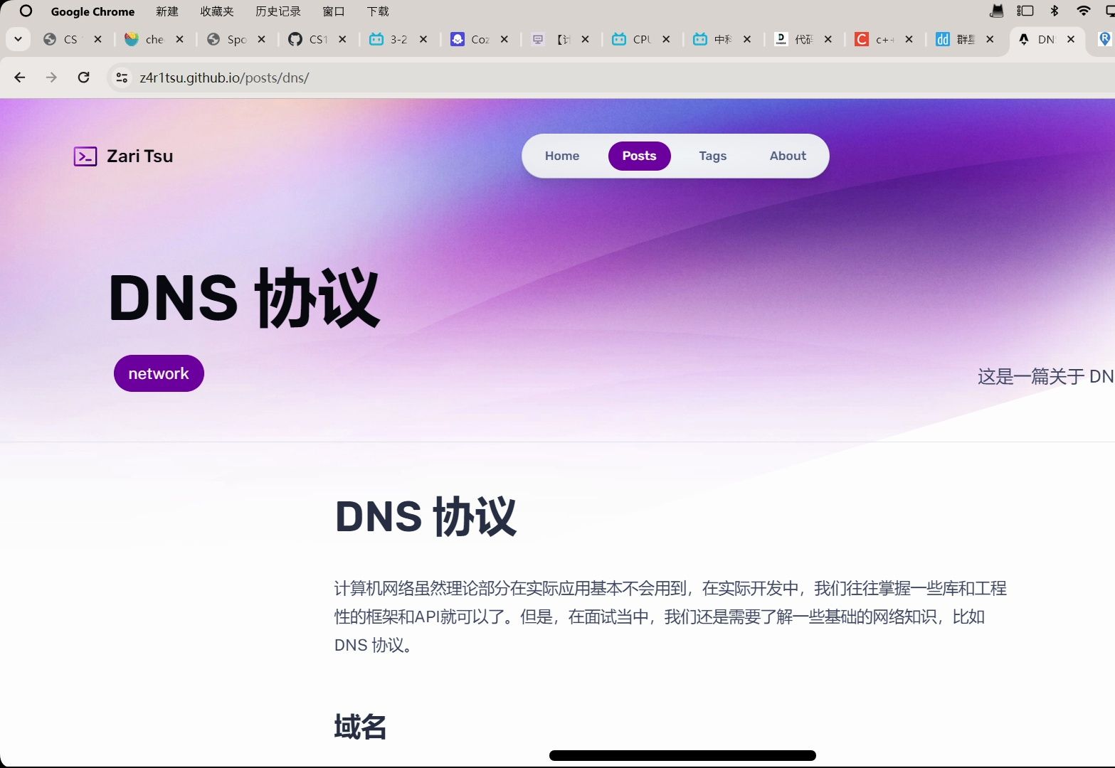 为什么说DNS是计算机网络当中最难懂体量最大的一个部分 CDN 多播 任播哔哩哔哩bilibili