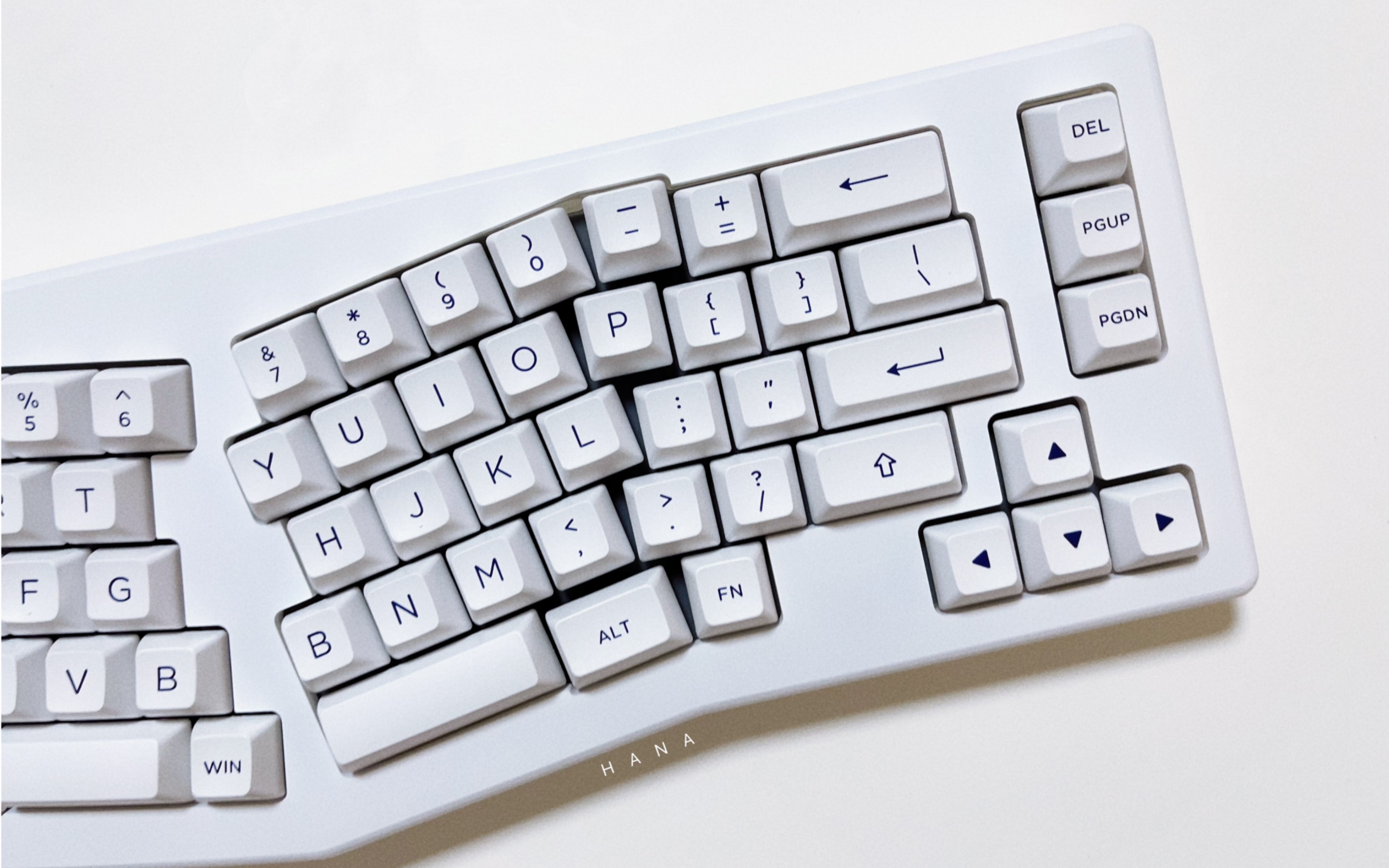 akko alice 实白gasket结构 机械键盘 初尝试打字音_哔哩哔哩_bili