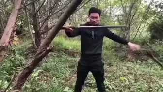 一体唐横刀砍树一刀断