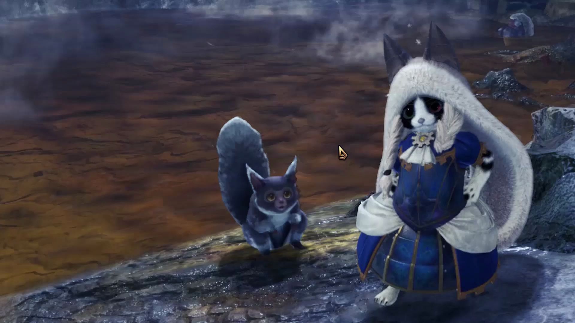 海带最细最短最快的艾露猫装备全攻略