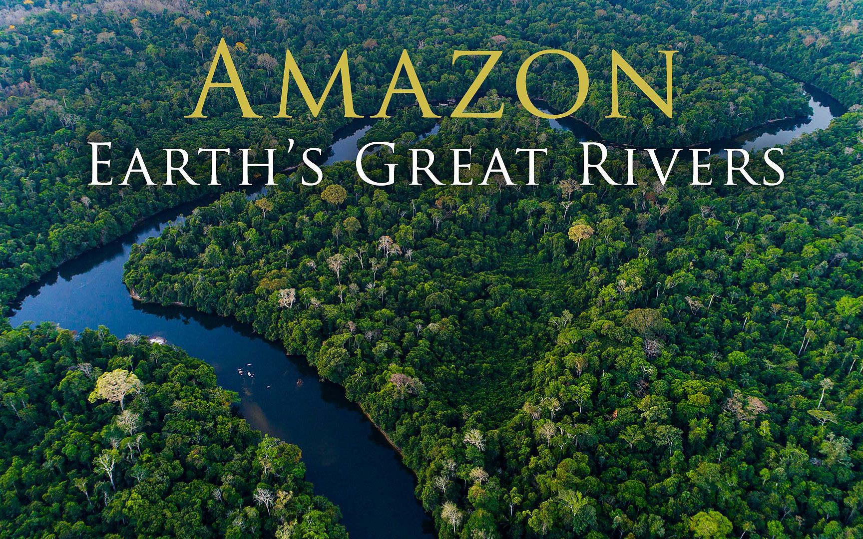 amazon river图片