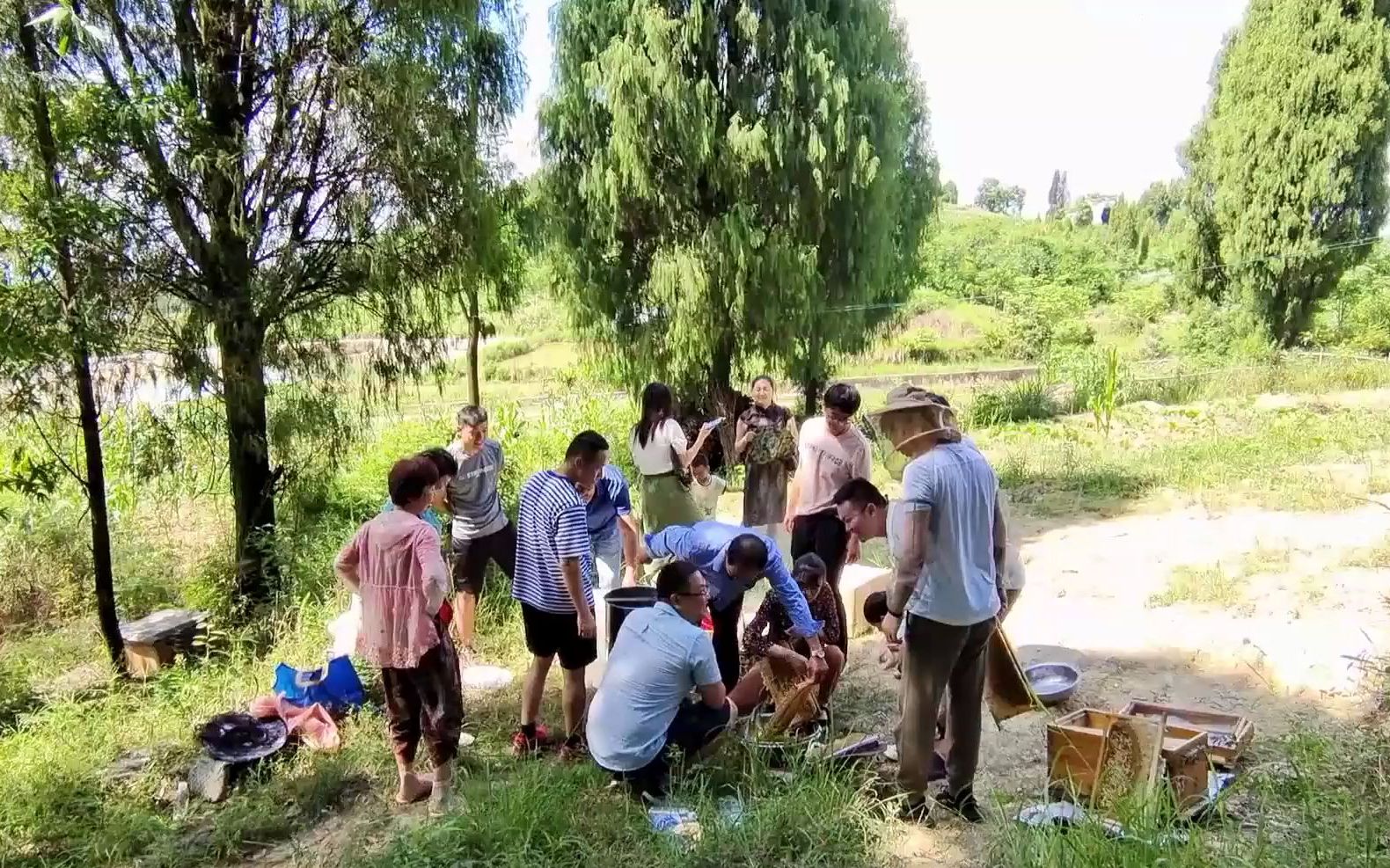 兄弟的蜂场大丰收,十几个人现场买蜂蜜,佩服兄弟的销售方法哔哩哔哩bilibili