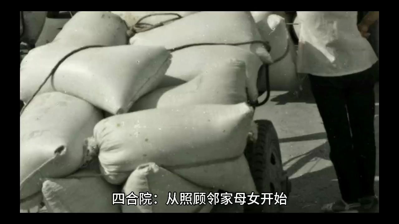 《四合院:从照顾邻家母女开始》