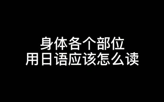 身体各个部位用日语应该怎么读哔哩哔哩bilibili