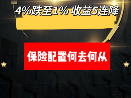 收益5连降 从4%跌至1% 保险配置何去保从哔哩哔哩bilibili